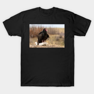 Buzzard T-Shirt